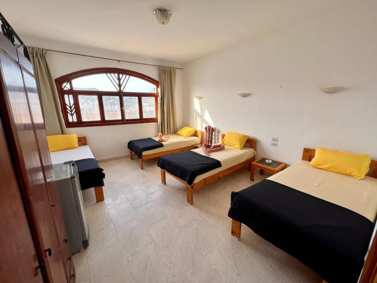 Mr Dahab Hotel 외부 사진